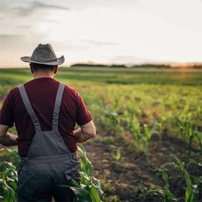 Legislação avança e permite recuperação judicial para produtor rural