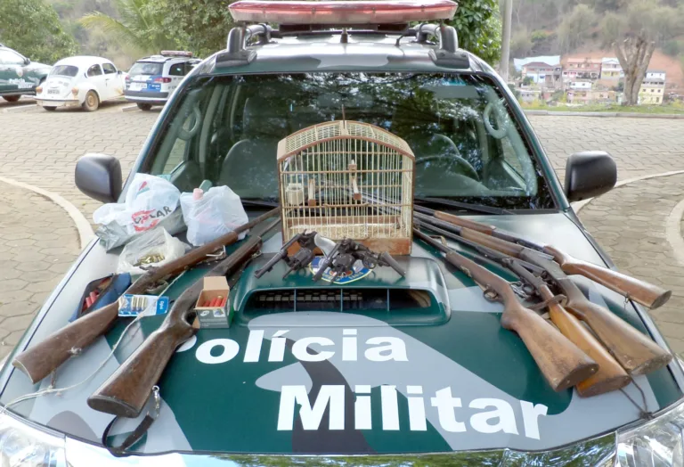 Garruchas e espingardas são apreendidas na zona rural de Itaguaçu