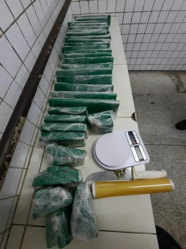 Polícia apreende 25 quilos de maconha enterrados em área de mata na Serra