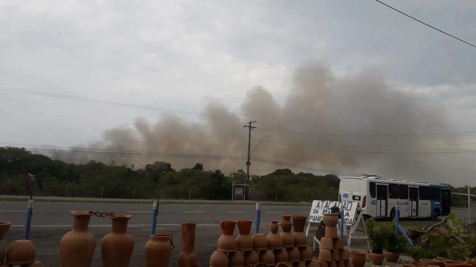 VÍDEO I Incêndio atinge área do Parque Paulo César Vinha, em Guarapari