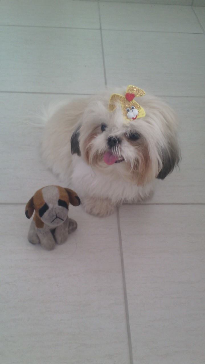 Belinha brincando