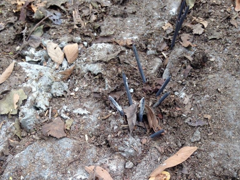 Corredor fica ferido em “campo minado de pregos” feito por assaltantes em parque de VV