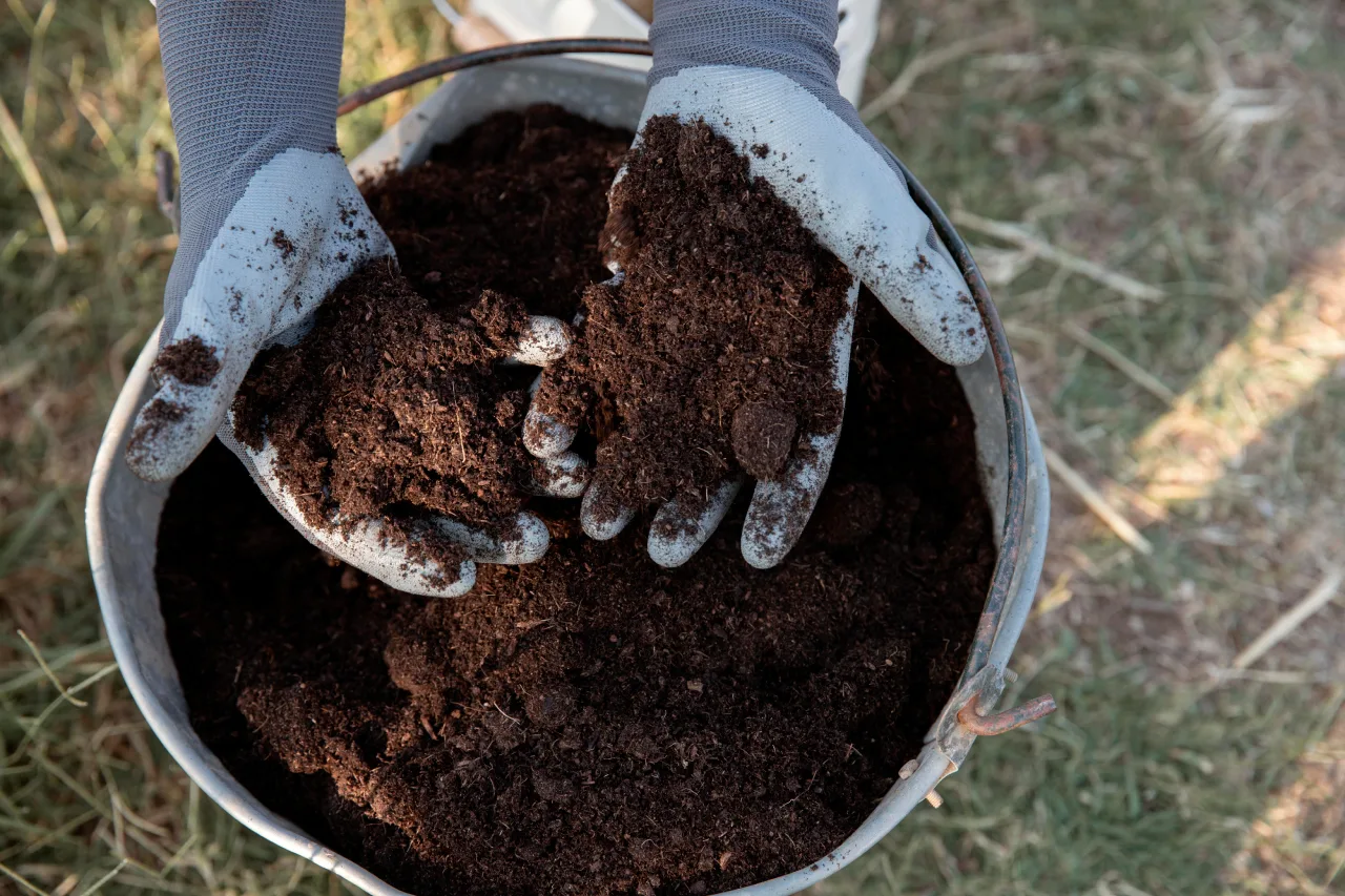 Brasil na vanguarda do uso de biofertilizantes: inovação e sustentabilidade