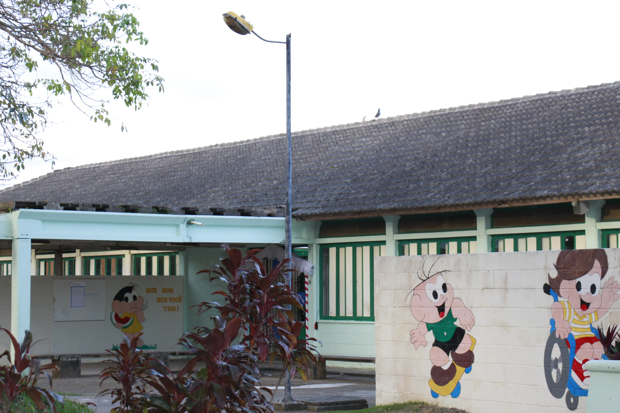 Creche de Guarapari é interditada depois de infestação de pombos e piolhos de pombo