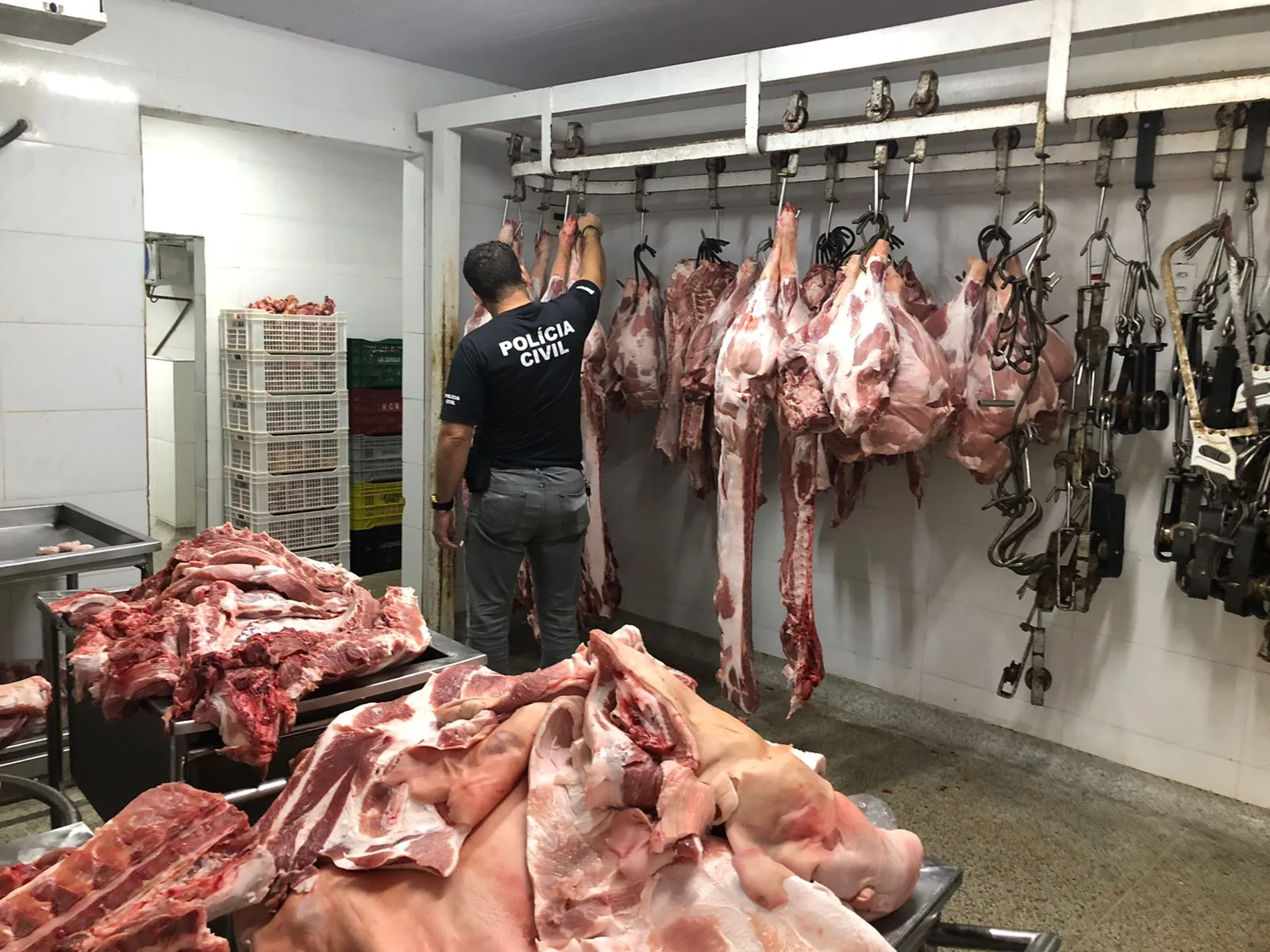 VÍDEO | Toneladas de carne clandestina são apreendidas em Vila Velha e indústria é interditada