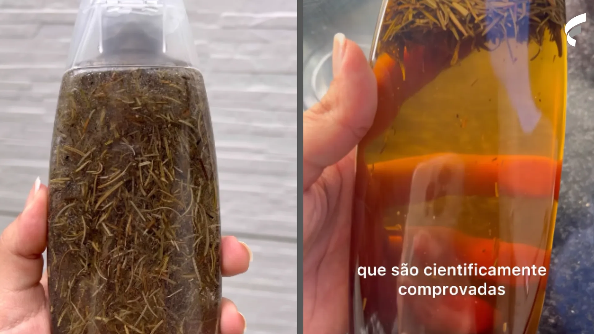 Tônico caseiro de alecrim para crescer cabelo: veja benefícios e como usar