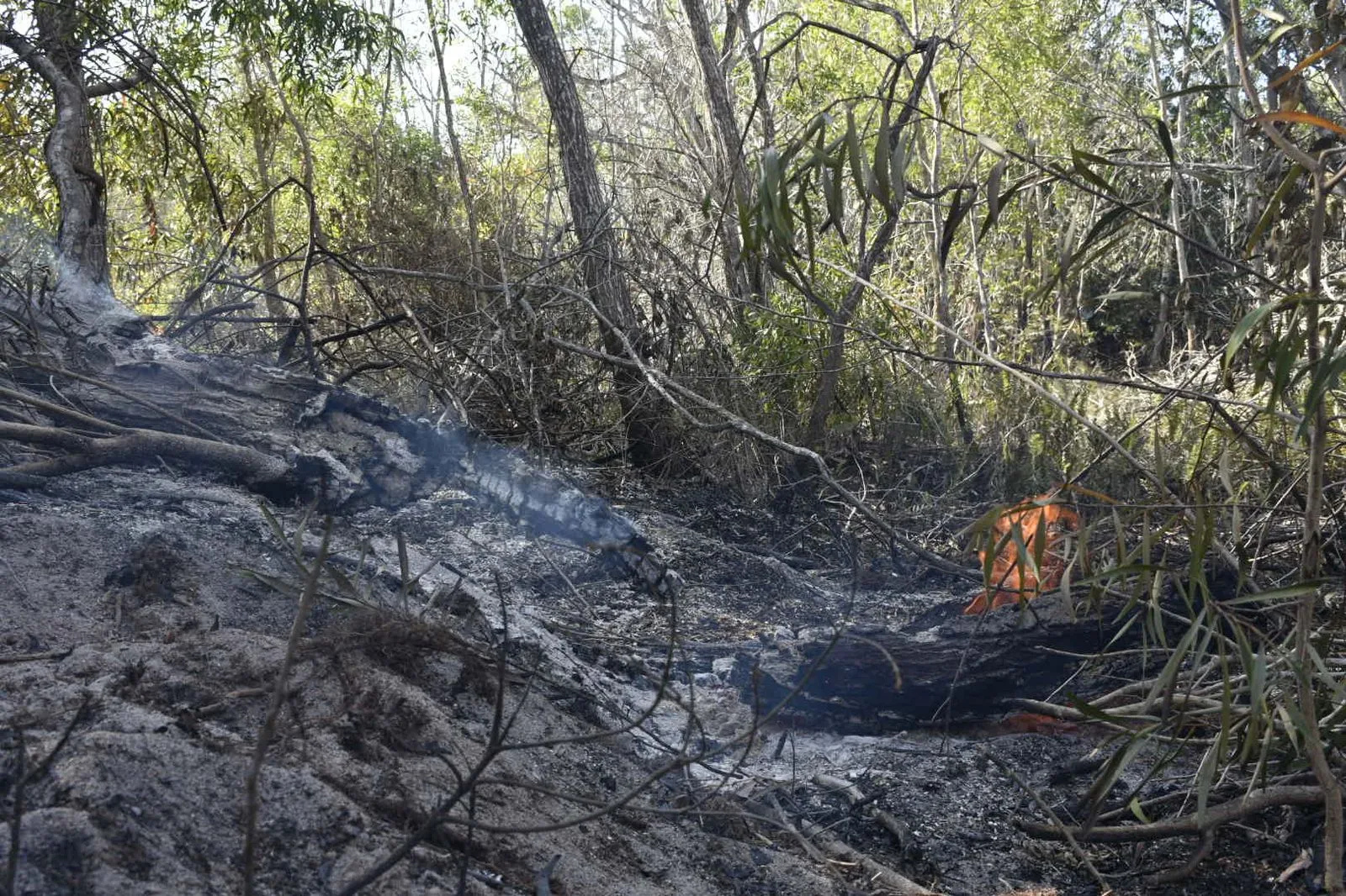 Governo reforça equipe para combater incêndio em Guarapari