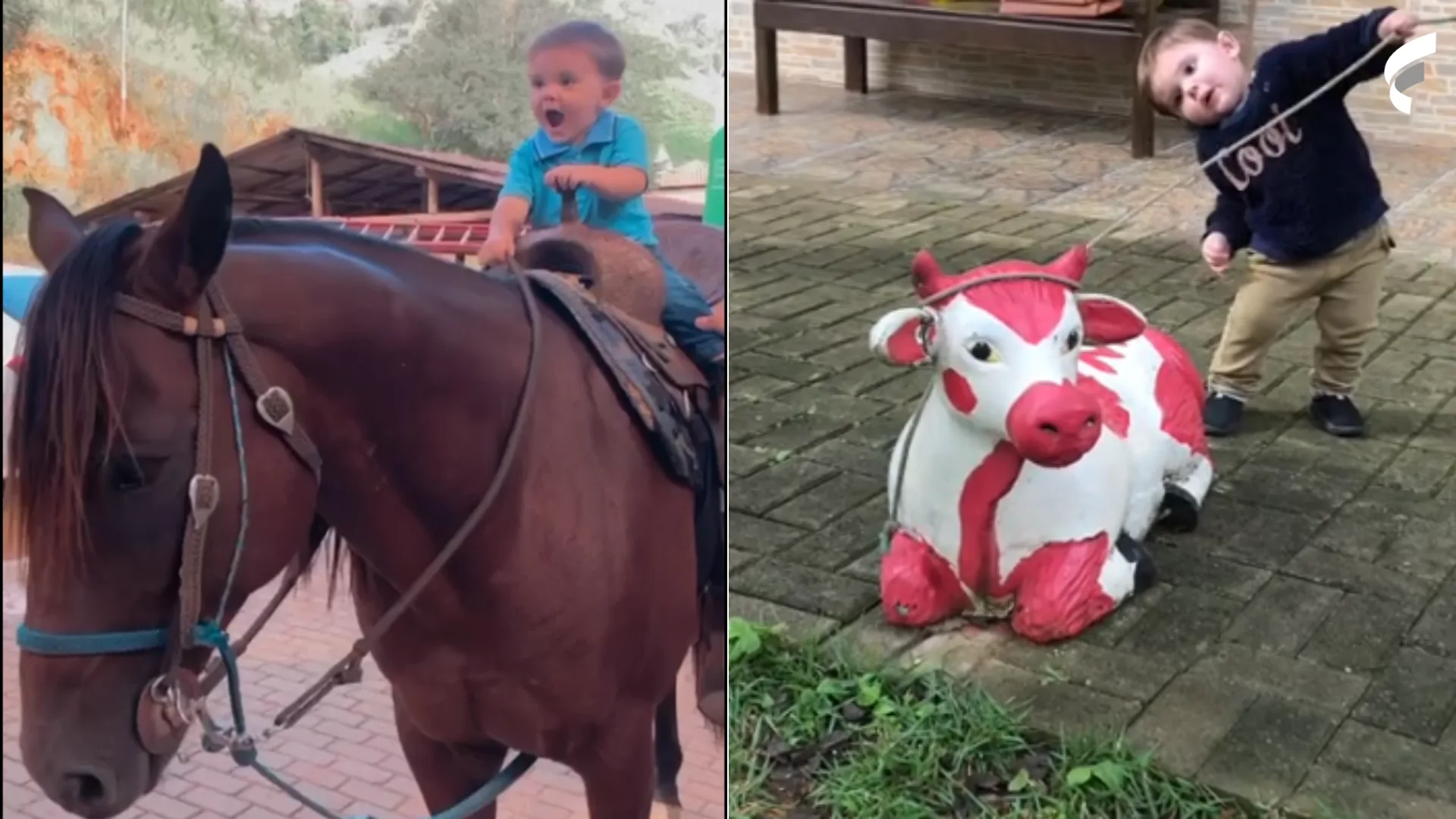 VÍDEO | "Nasceu no laço": menino de 1 ano viraliza ao laçar cavalo no ES