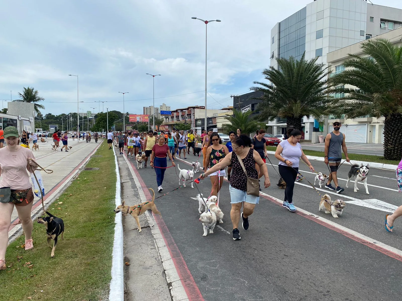 VÍDEO | Tutores e pets realizam 'caominhada' pela orla de Camburi