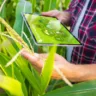 Bits no prato? Tecnologia digital chega à alimentação