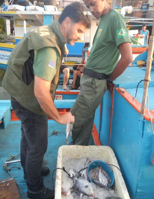 Peixes e carnes irregulares são apreendidos em operação no interior do Estado