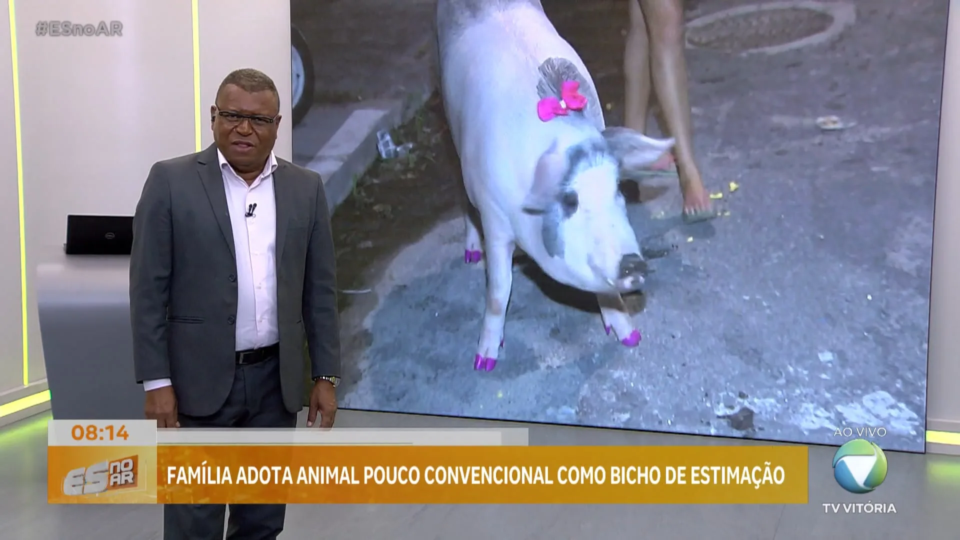 Família adota animal pouco convencional como bicho de estimação