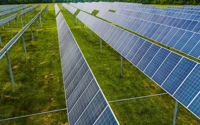 Mercado de crédito de carbono impulsiona economia brasileira