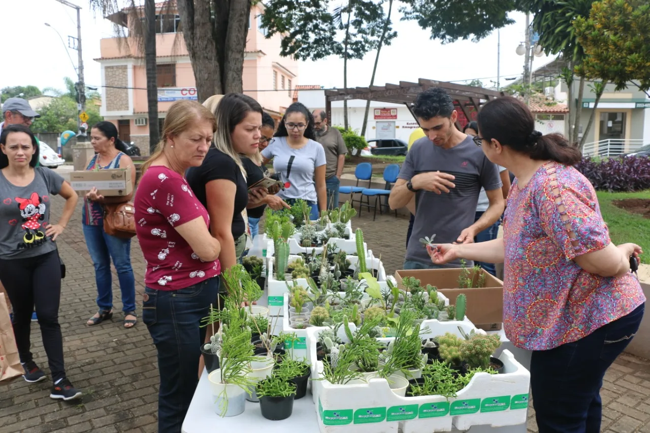 Colecionadores de cactos e suculentas são cadastrados durante encontro em Guaçuí