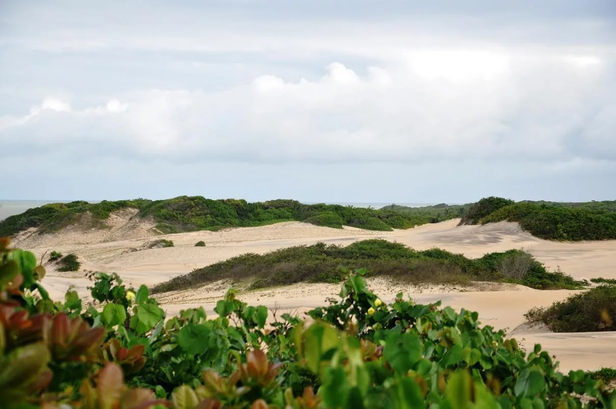 Corpo é encontrado a 10 km das dunas da Praia de Itaúnas, em Conceição da Barra