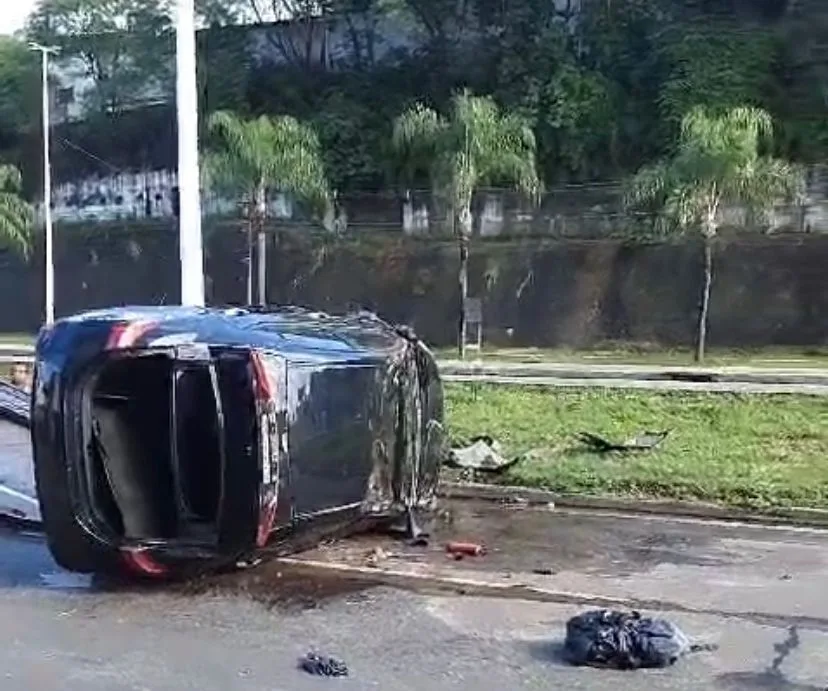 Motorista invade canteiro, derruba palmeira e capota com carro em Cariacica