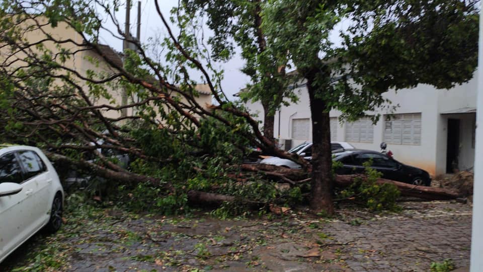 Temporal causa transtornos e provoca estragos em Alegre