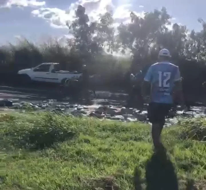 Parte da carga de cerveja cai de caminhão após curva e é saqueada em Vila Velha