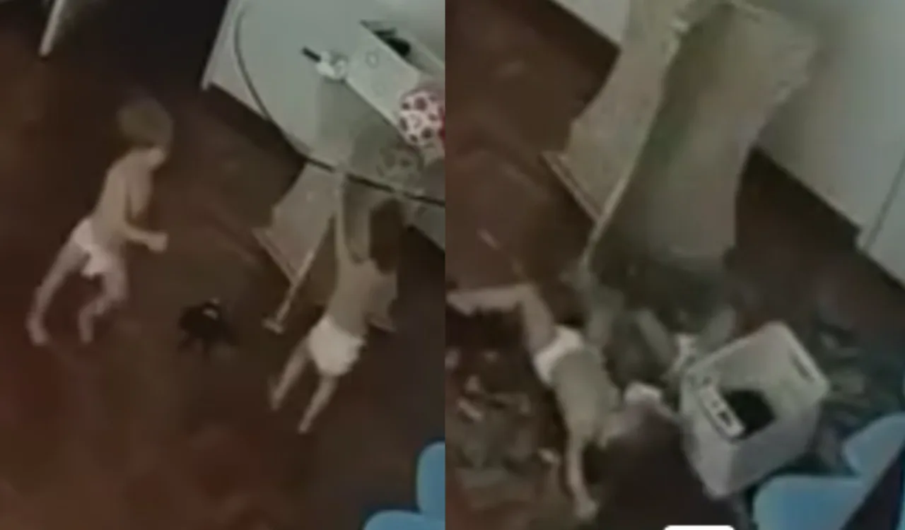 VÍDEO | Tampo de vidro de mesa despenca em cima de bebês em Vitória e mãe faz alerta