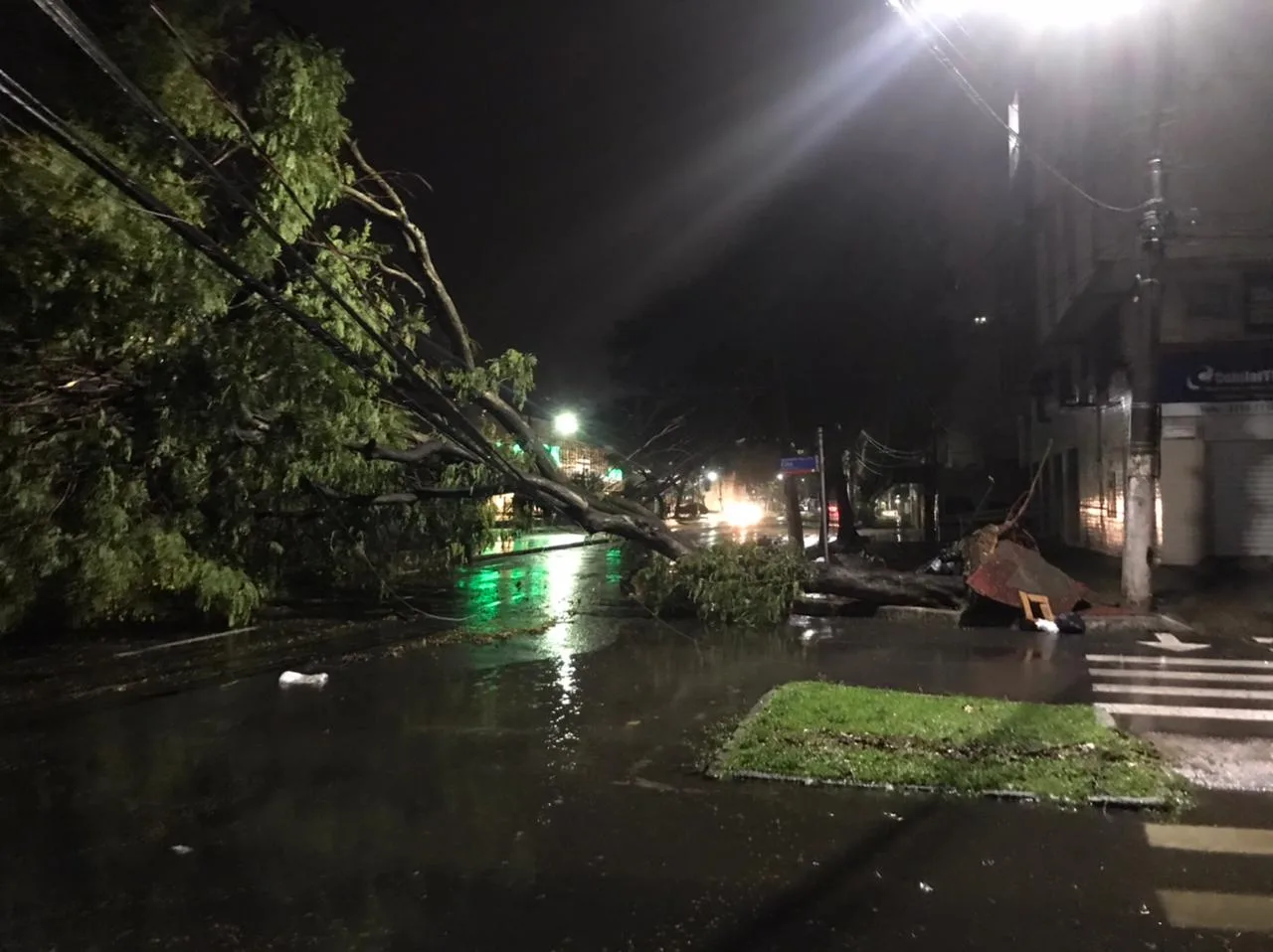 VÍDEO | Temporal no ES provoca quedas de árvores e interdições de pistas