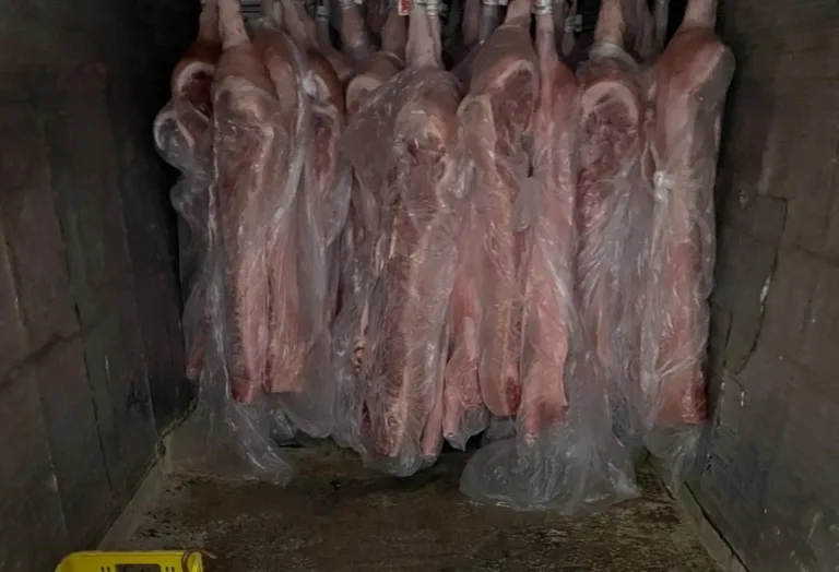 Frigorífico de Cariacica é interditado pela 3ª vez com 800kg de carne irregular