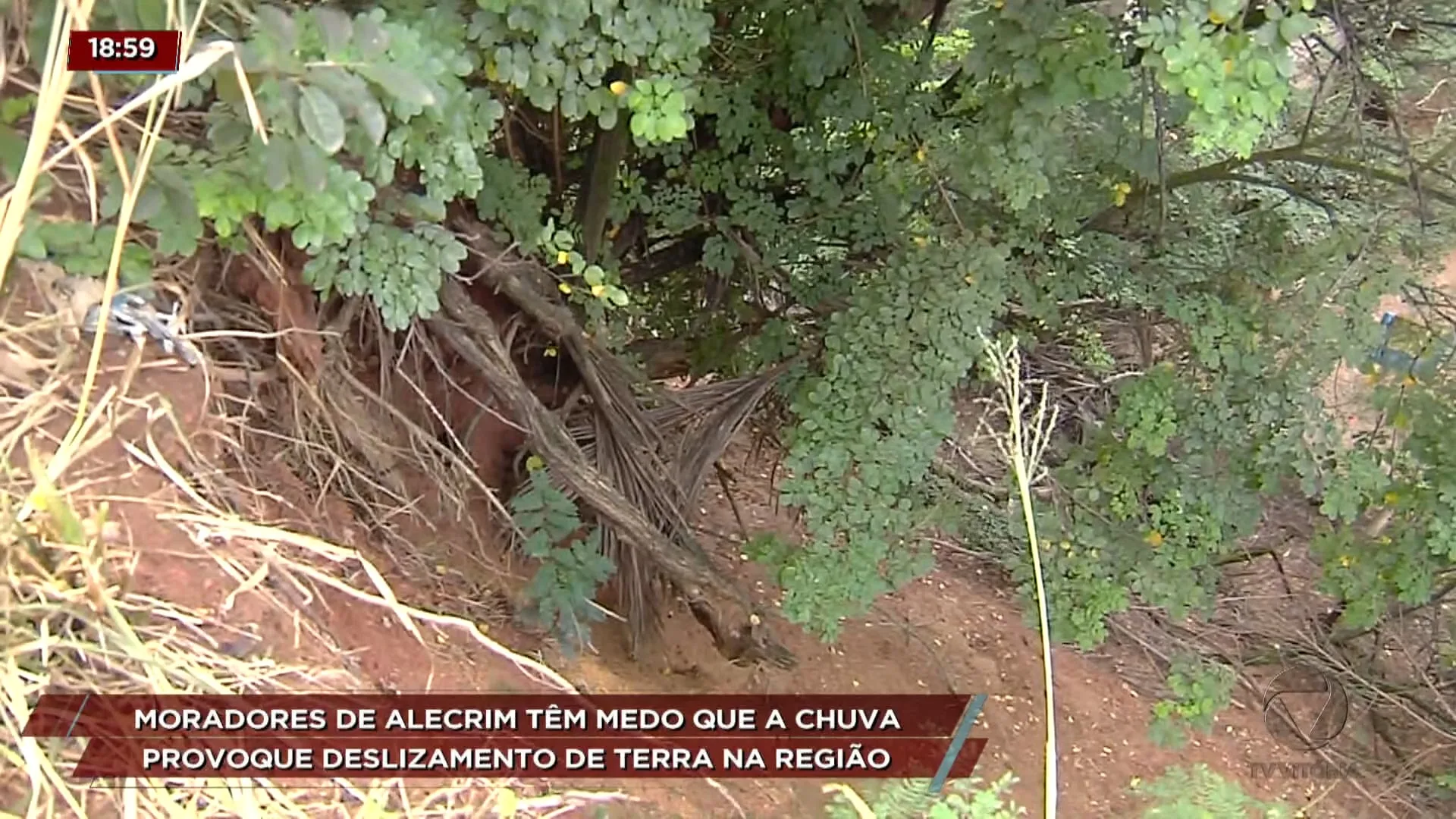 Moradores de alecrim têm medo que a chuva provoque deslizamento de terra na região