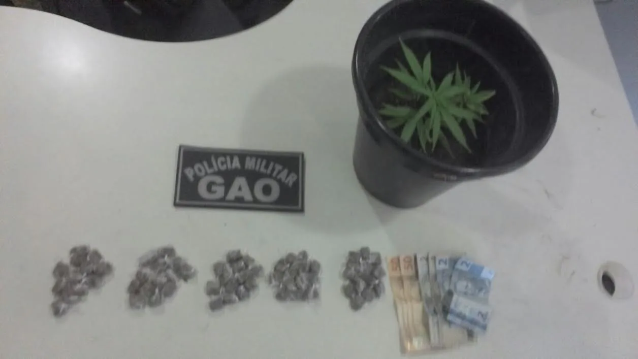 Pé de maconha é encontrado com dois suspeitos de tráfico em Vitória