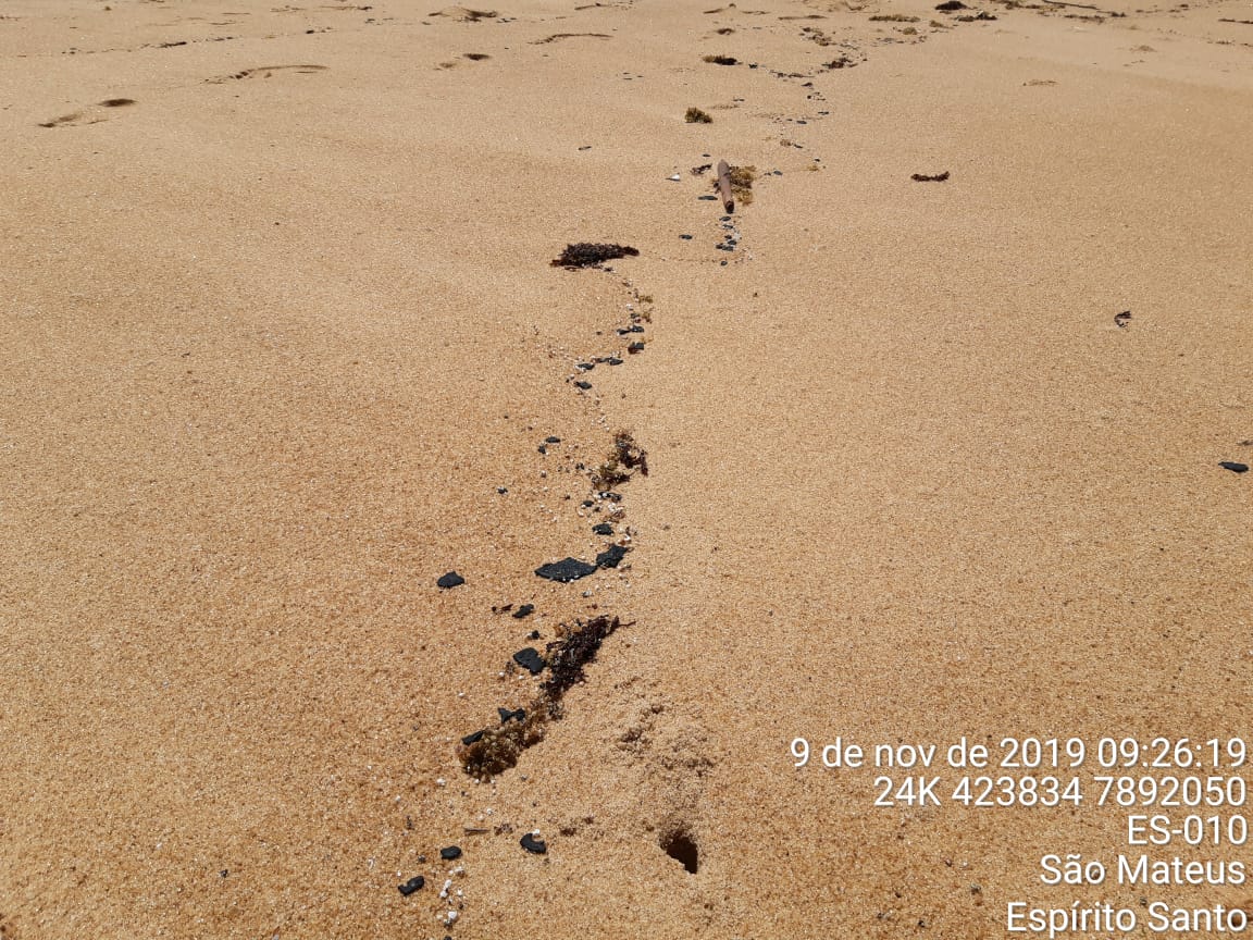 Pelo menos sete praias do ES já foram atingidas por manchas de óleo vindas do Nordeste