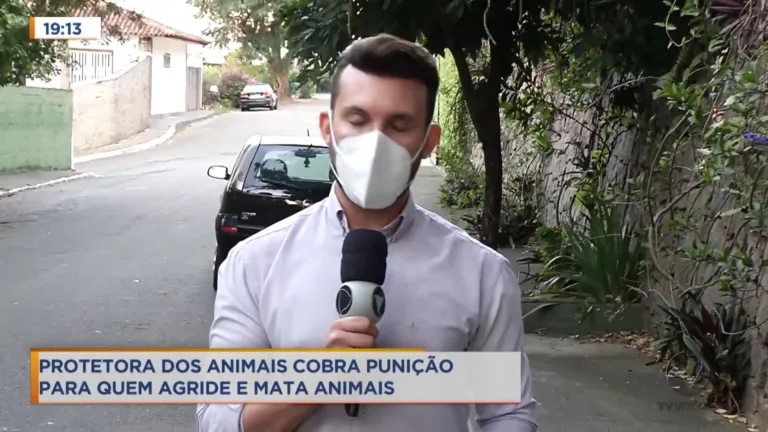 25 casos de maus tratos a animais acontecem todo mês no ES
