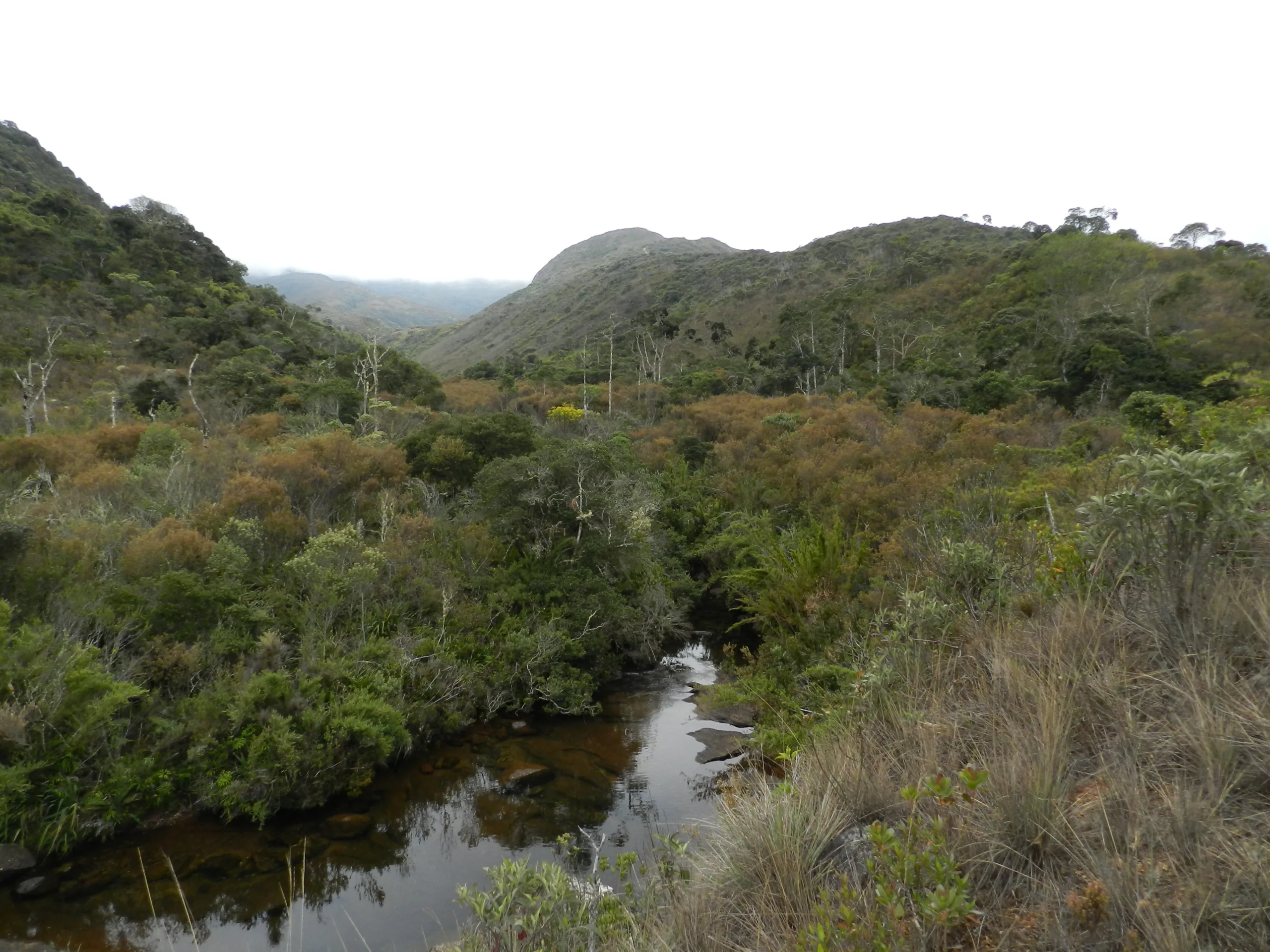 Parque Nacional do Caparaó receberá investimentos e ações de recuperação da bacia do rio Itapemirim