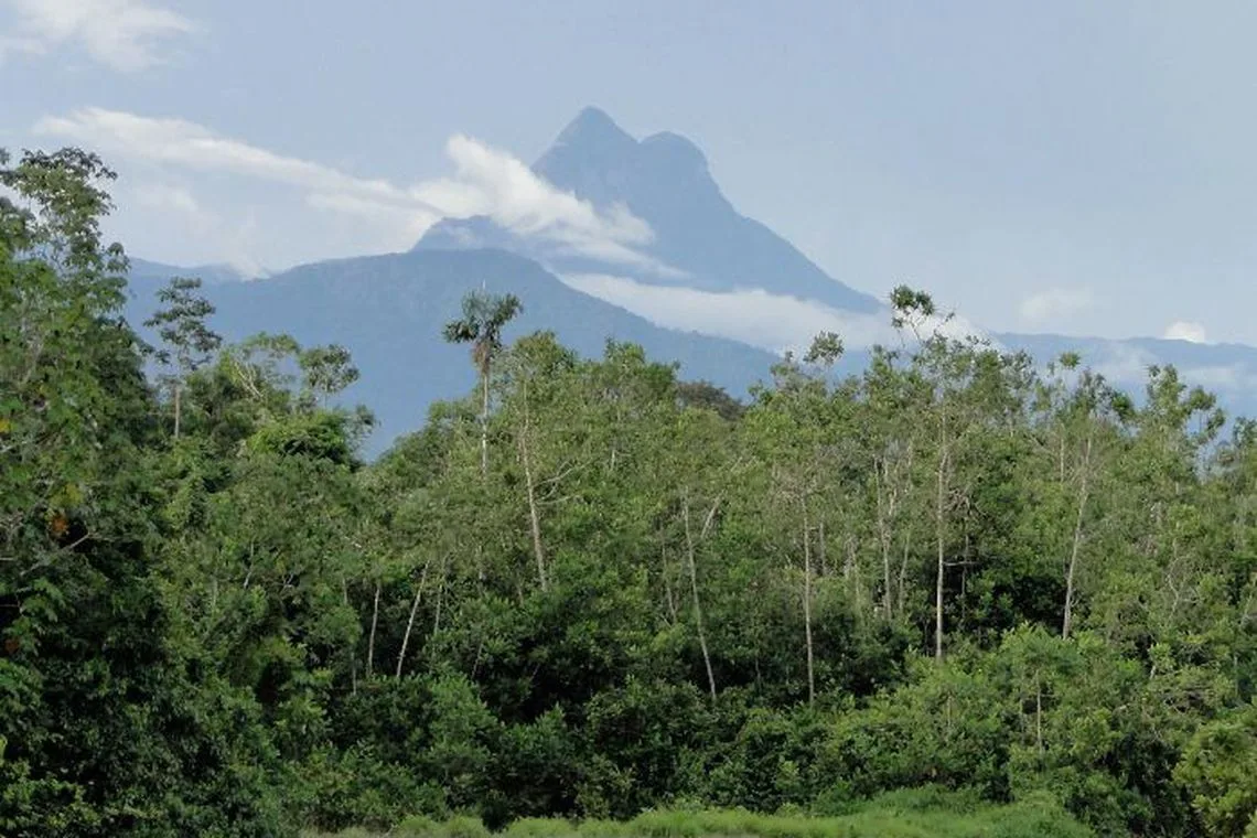 Recanto sagrado dos yanomami, Pico da Neblina deve ser reaberto