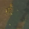 VÍDEO | Jovem morre e mulher é baleada em Vila Velha