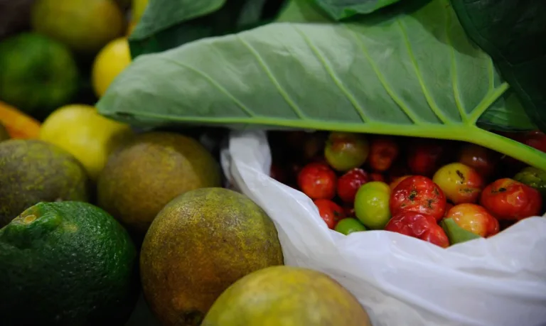 Conferência Green Rio 2015 discute estratégias para a economia verde e o setor de alimentos orgânicos no Jardim Botânico (Fernando Frazão/Agência Brasil)