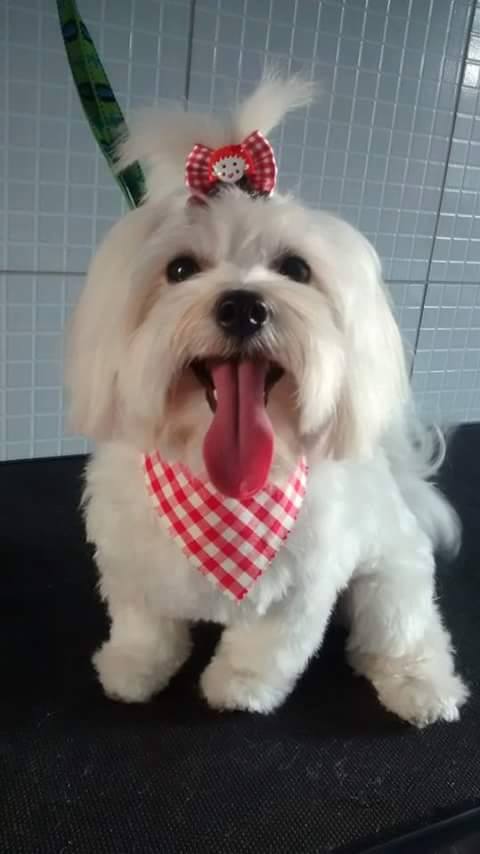 Polly toda linda de vermelho!