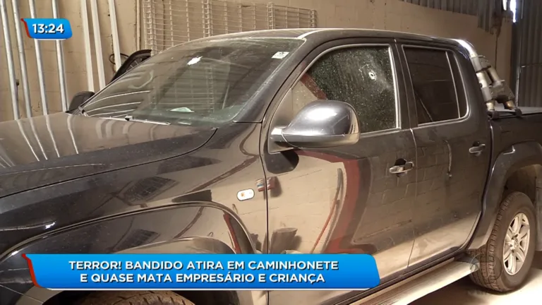 Criminoso tenta roubar carro e atira contra comerciante