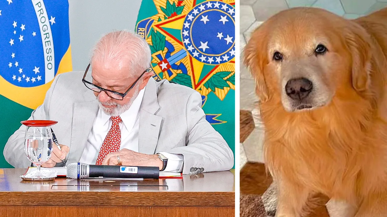 Lula usa gravata em homenagem ao cachorro "Joca" e cobra Anac e Gol