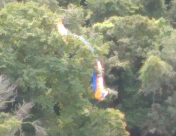 Homem cai de parapente e fica preso em árvore no Morro do Moreno