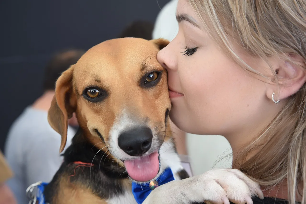 Feira para pets em Vitória terá desfile, recreação e serviços gratuitos