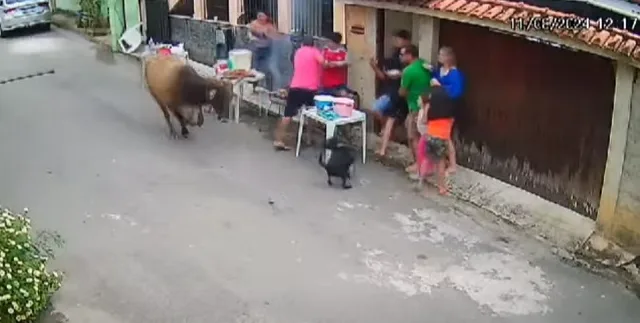 VÍDEO | Boi invade churrasco de Dia dos Pais e assusta família no ES