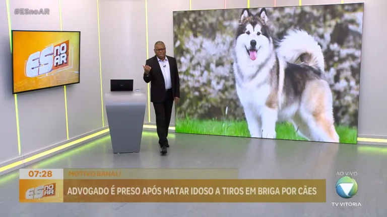 Existe regra para passear com o cachorro em Vitória?