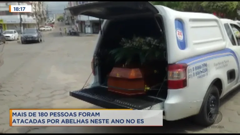 Mais de 180 pessoas foram picadas por abelhas neste ano no ES