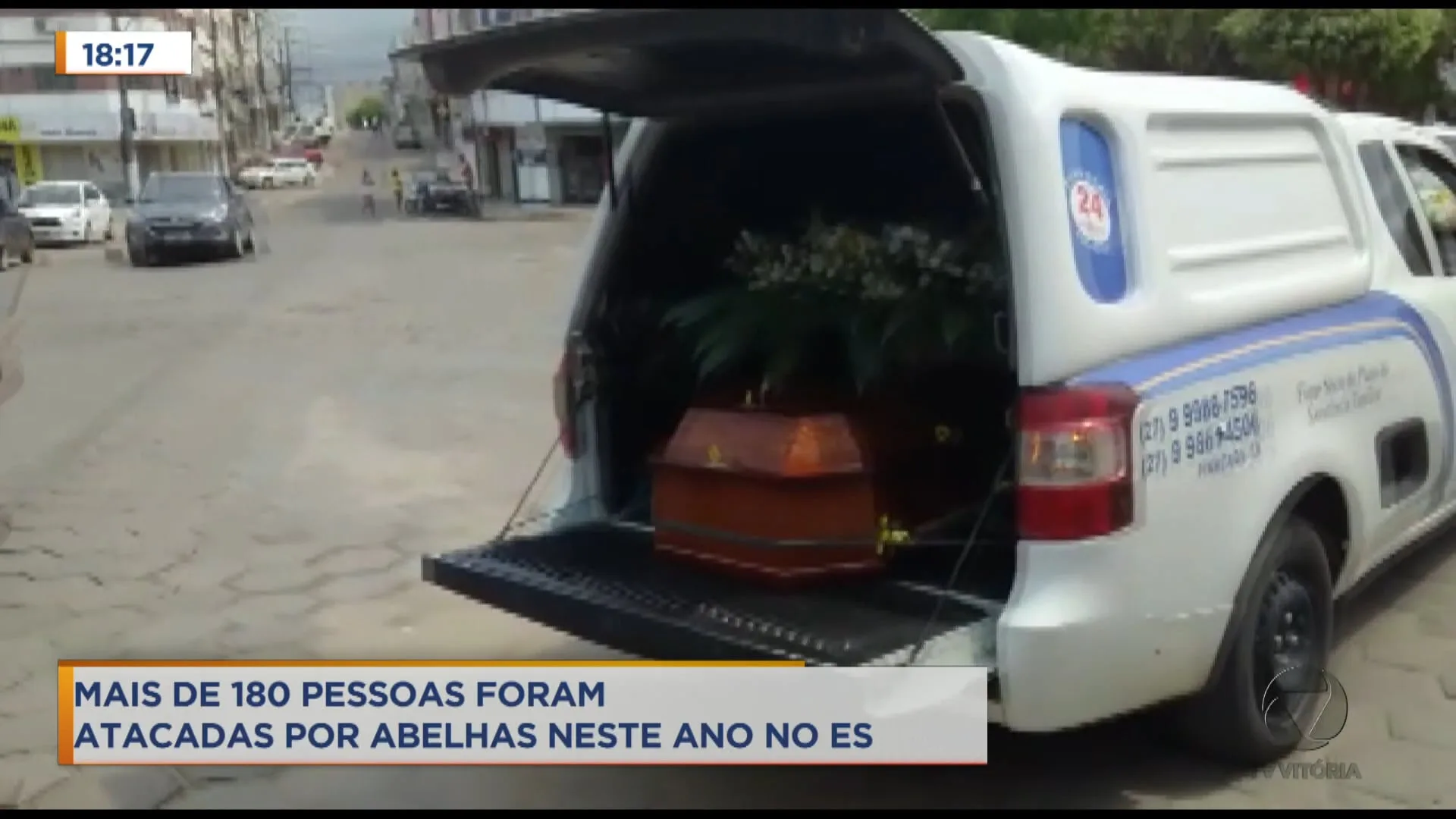 Mais de 180 pessoas foram picadas por abelhas neste ano no ES