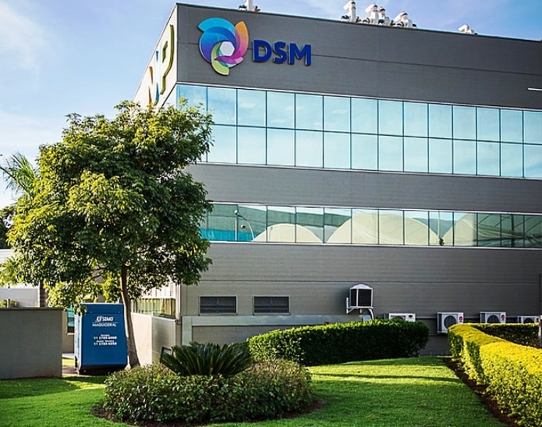 DSM abre inscrições para trainee no Brasil e no México