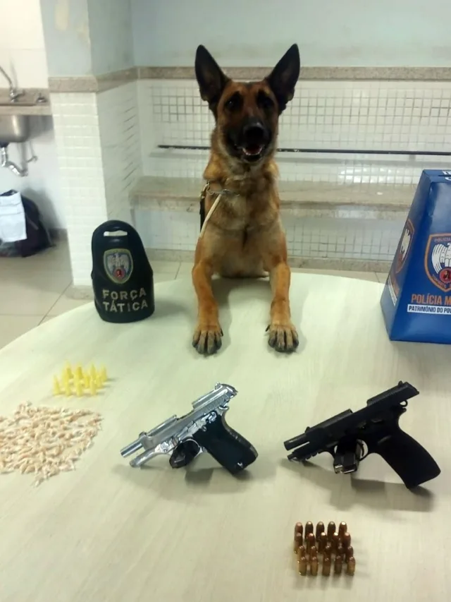 Foto: Divulgação/ Polícia Militar