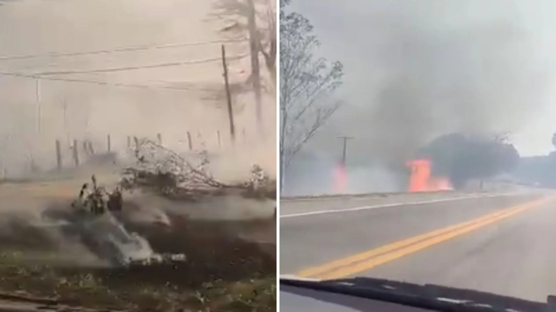 VÍDEO | Incêndio se alastra em vegetação às margens da BR-101 e atinge carro