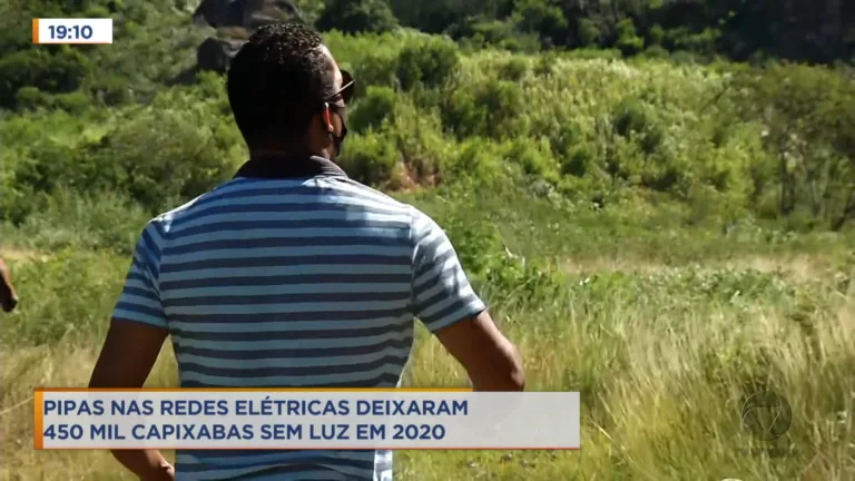 Pipas em redes elétricas já deixaram 450 mil capixabas sem luz em 2020