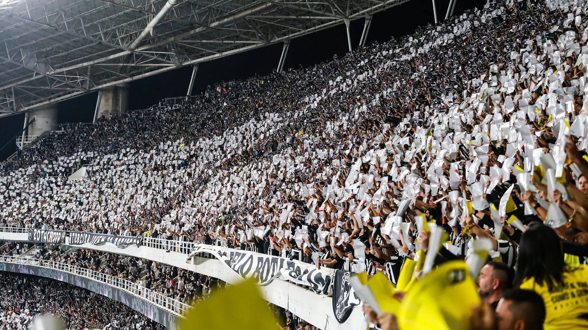 Torcedor do Botafogo faz gestos racistas em jogo contra o Palmeiras