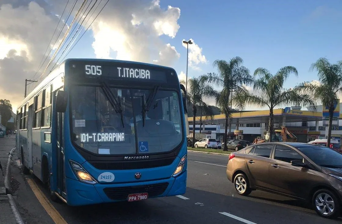 Dia de Finados: Transcol terá ônibus extras nesta quarta