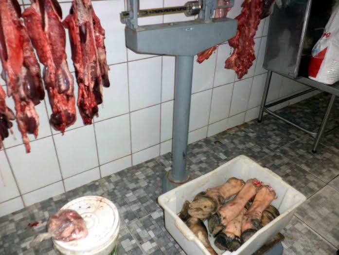 Mulher é detida com mais de 500 quilos de carne clandestina em Santa Teresa