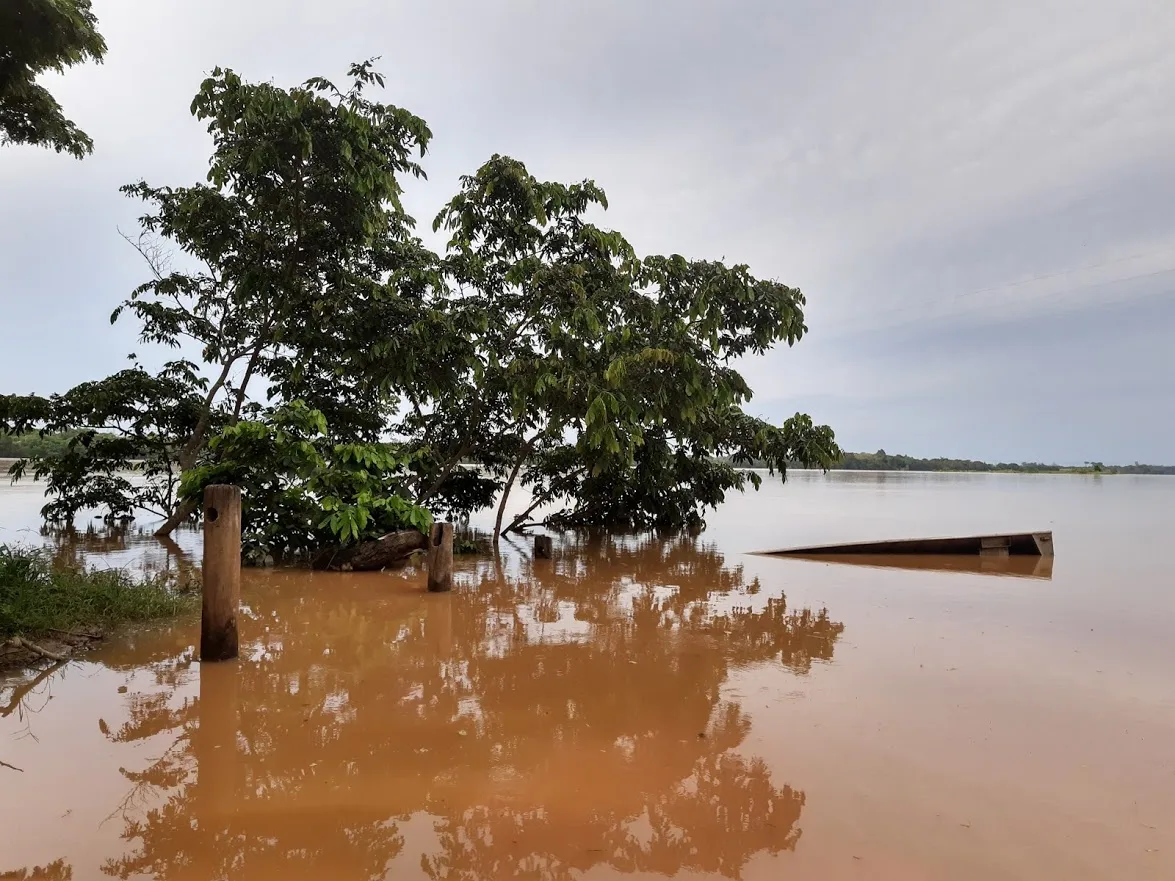 Rio Doce está a menos de 50 centímetros da cota de inundação, em Linhares